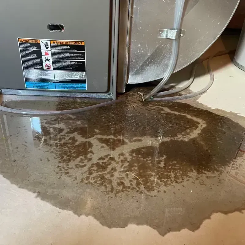 Appliance Leak Cleanup in Crescent Springs, KY